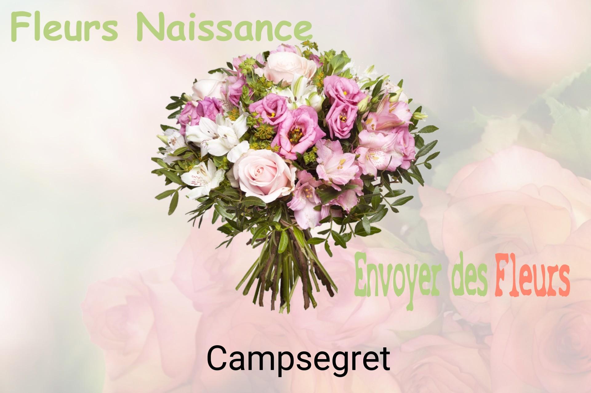 Bouquet de fleurs de naissance livré à Campsegret